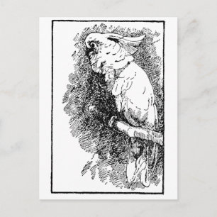 Birdy Postcard