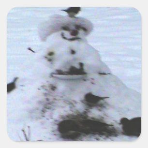 Birdy  square sticker