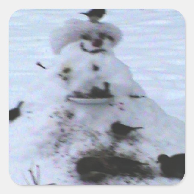 Birdy  square sticker (Front)