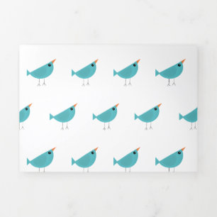Birdy  Tri-Fold announcement