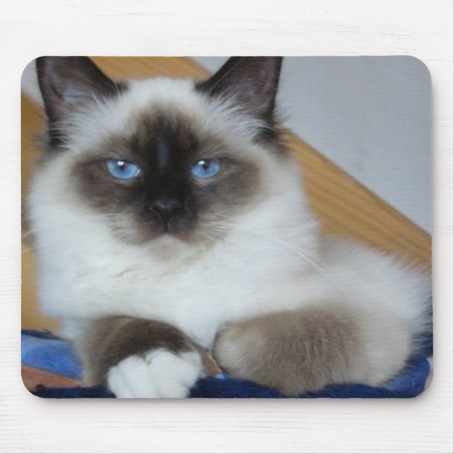 birman 2.png mouse pad (Front)