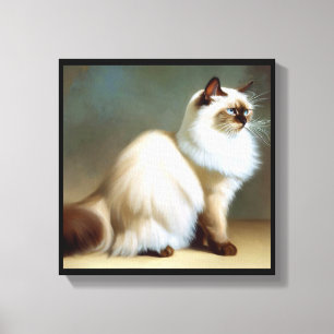 Birman Cat  Canvas Print