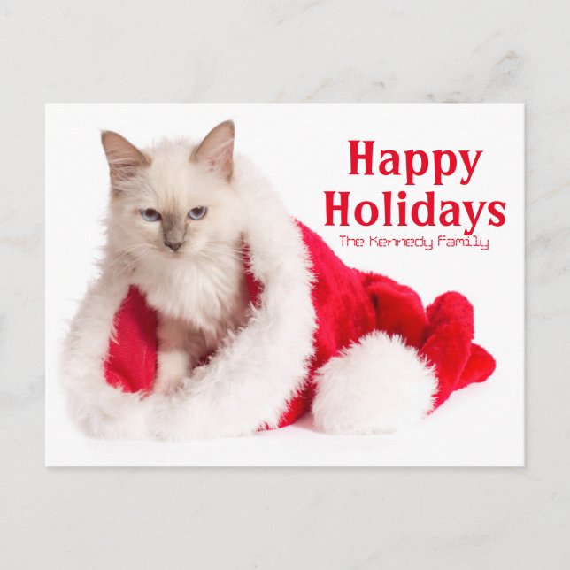 Birman Cat In Santa Hat Holiday Postcard (Front)
