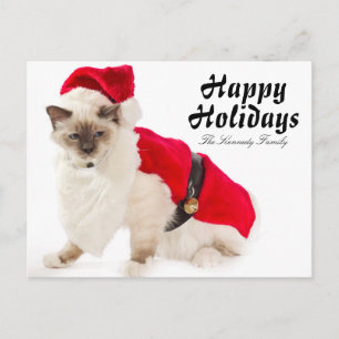 Birman Cat In Santa Suit Holiday Postcard