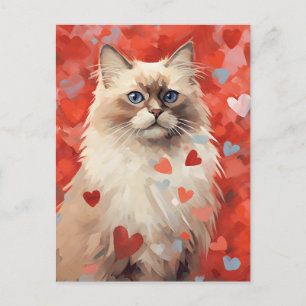 Birman cat  Valentine's day  Postcard