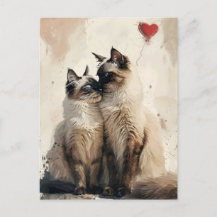 Birman cats Valentine's day  Postcard