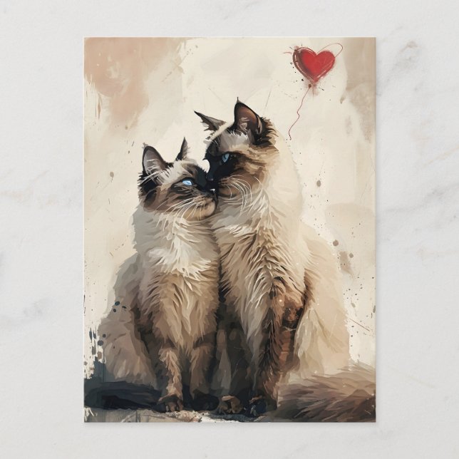 Birman cats Valentine's day  Postcard (Front)
