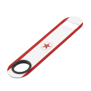 Birmingham (Alabama) City flag 