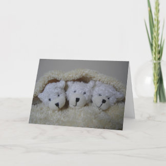 Birth announcement for triplets