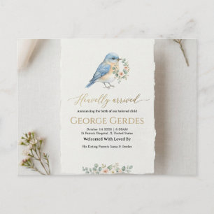 Birth Announcement Postcard