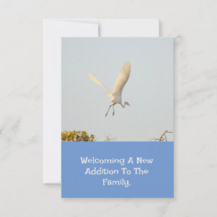 Birth Announcement With Flying Stork.