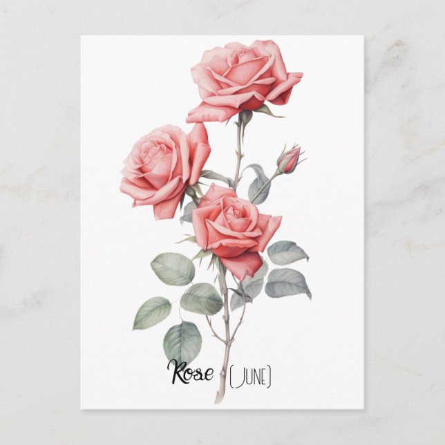 Birth Date Flower Rose (June) Postcard (Front)