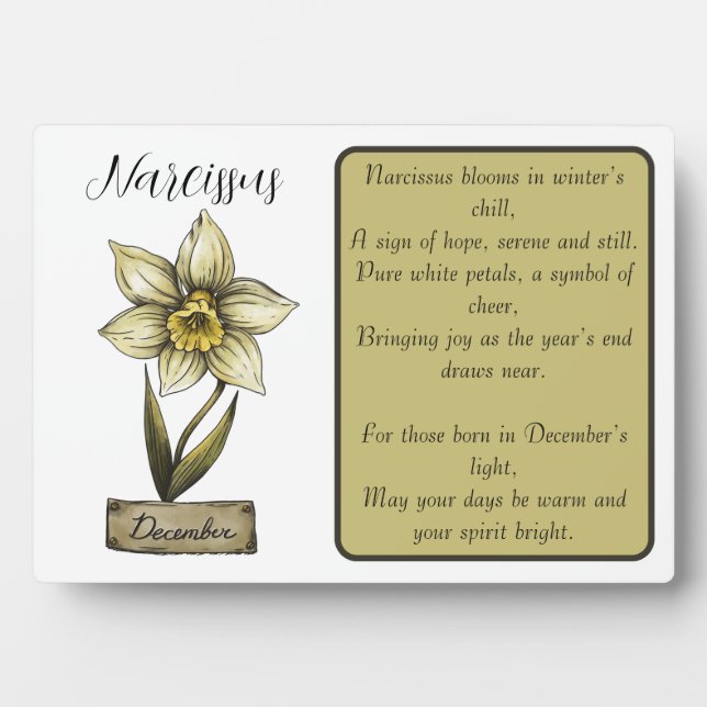 Birth Flower DECEMBER Birthday Narcissus  Plaque (Front)