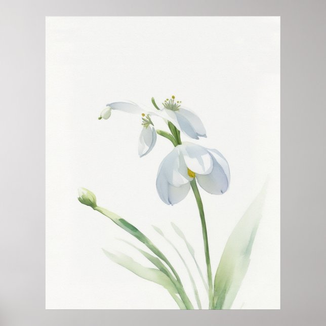 Birth Flower January Snowdrop Poster (Front)