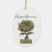 Birth Flower NOVEMBER Birthday Chrysanthemum