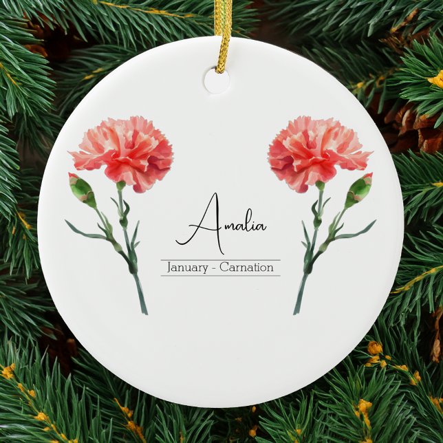 Birth Month Flower January Carnation Ornament (Creator Uploaded)