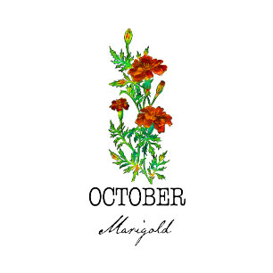 Birth Month Flower October Marigold Cushion