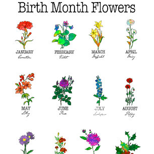 Birth Month Flowers All 12 months T-Shirt