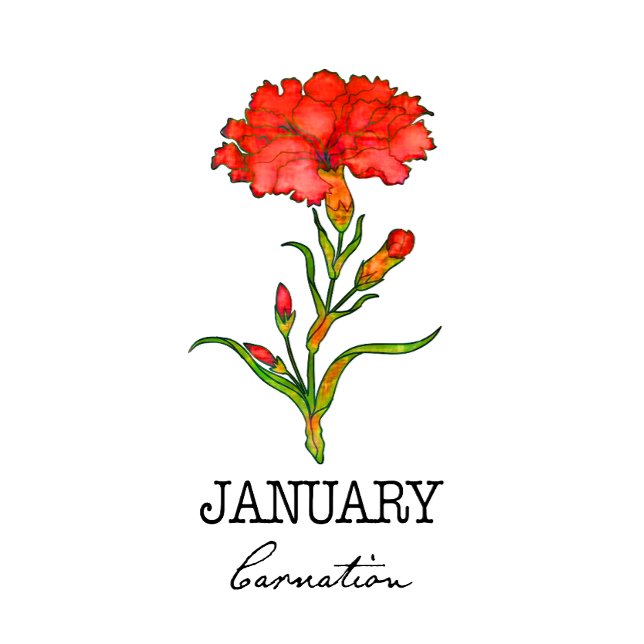 Birth Month January  Apron (Creator Uploaded)