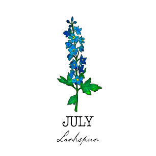 Birth Month July Larkspur Flower T-Shirt
