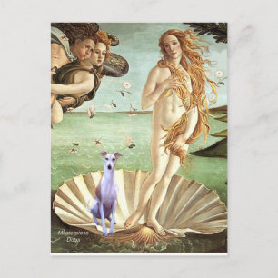 Birth of Venue - Whippet 8 Postcard