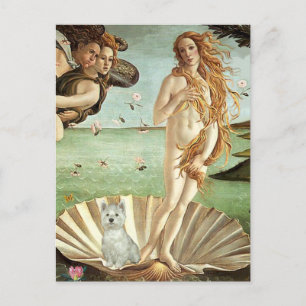 Birth of Venus - Westie (S) Postcard