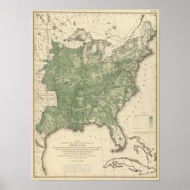 Birth Rate US, Statistical US Lithograph Poster (Front)