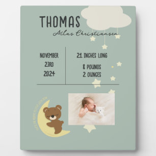 Birth Stats Baby Bear Shower Plaque Sign - Green