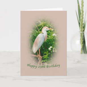 Birthday, 29th, Cattle Egret Bird Perched in Tree Card