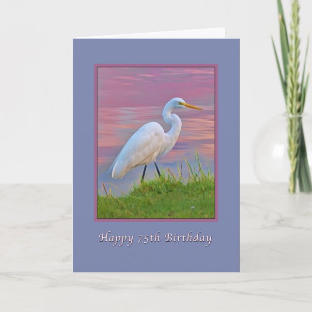 Birthday, 75th, Great Egret Strolling at Sunrise Card (Front)