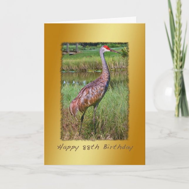 Birthday, 88th, Sandhill Crane Bird Card (Front)