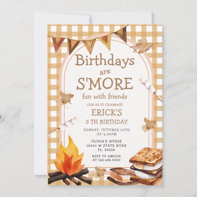  Birthday are S'mores Fun Campfire Gingham Invitation (Front)
