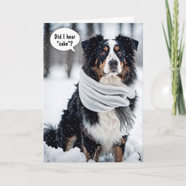 Birthday Australian Shepherd In Snowflakes Card (Front)