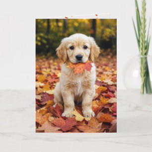 Birthday Autumn Golden Retriever Puppy Card