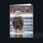 Birthday Bald Eagle On Ice Card<br><div class="desc">Beautiful bald eagle on ice with snow patches for birthday.
Inside text can be changed.</div>