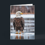 Birthday Bald Eagle On Ice Card<br><div class="desc">Beautiful bald eagle on ice with snow patches for birthday.
Inside text can be changed.</div>