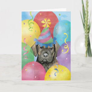 Birthday Balloons Cane Corso Card