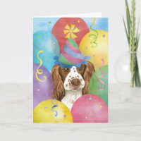 Birthday Balloons English Springer Spaniel