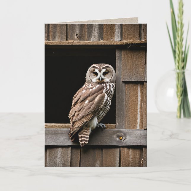 Birthday Barred Owl In Barn Window Card (Front)