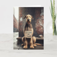 Birthday Begging Dog With Cardboard Sign