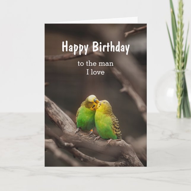 Birthday Bird Cuddling Budgies Parakeet Man I love Card (Front)