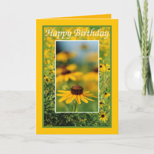 Birthday - Black-Eyed Susans Greeting Card