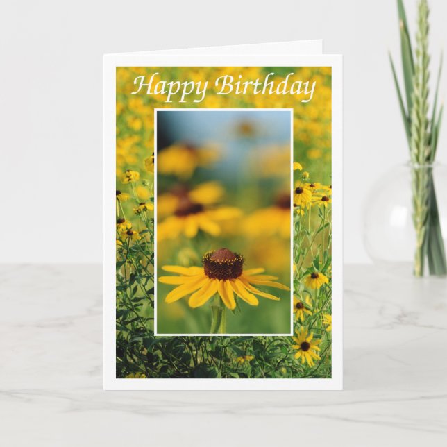 Birthday - Black-Eyed Susans Greeting Card (Front)
