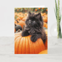Birthday Black Kitten On Orange Pumpkin