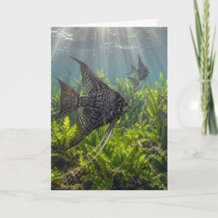 Birthday Black Lace Angelfish in Seaweed Card