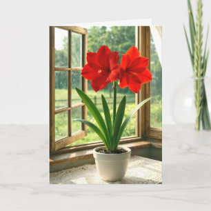 Birthday Blooming Red Amaryllis Card