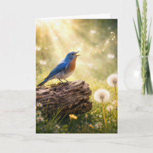 Birthday Bluebird Singing in Sunshine Card