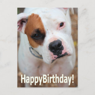 Birthday Boop Card