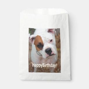 Birthday Boop  Favour Bags