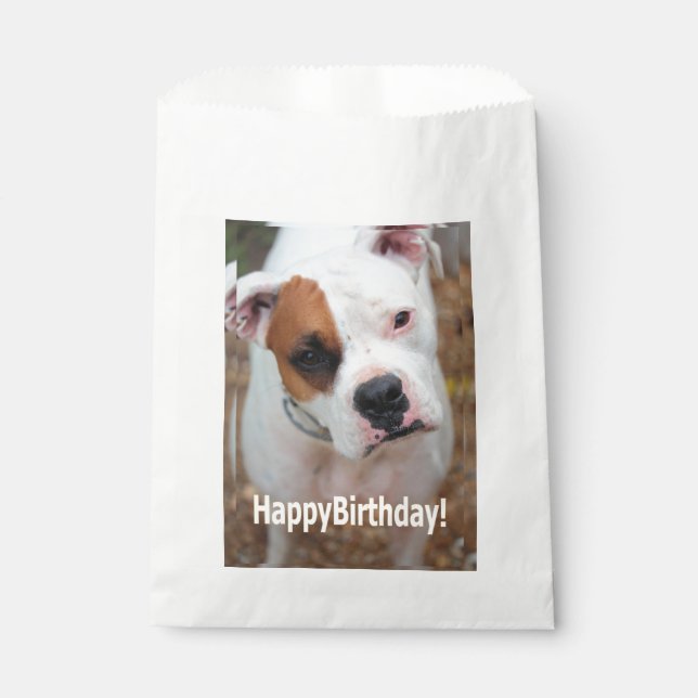 Birthday Boop  Favour Bags (Front)